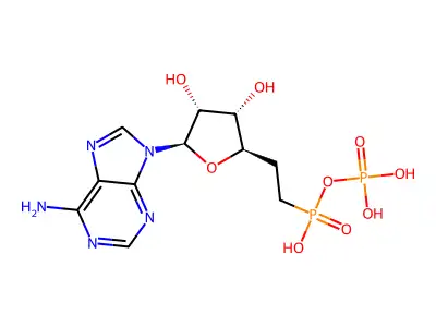 ppcA structure
