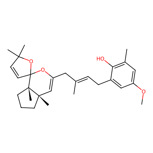 Cystoketal structure