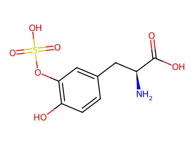 多巴硫酸酯 structure