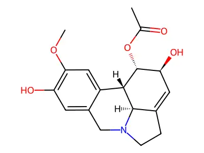 Sternbergine structure