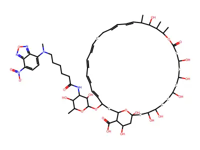Nbd-nystatin structure