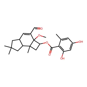 4-O-methylmelleolide structure