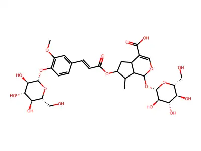 6-[3-[3-methoxy-4-[(2S,3R,4S,5S,6R)-3,4,5-trihydroxy-6-(hydroxymethyl)oxan-2-yl]oxyphenyl]prop-2-enoyloxy]-7-methyl-1-[(2S,3R,4S,5S,6R)-3,4,5-trihydroxy-6-(hydroxymethyl)oxan-2-yl]oxy-1,4a,5,6,7,7a-hexahydrocyclopenta[c]pyran-4-carboxylic acid structure
