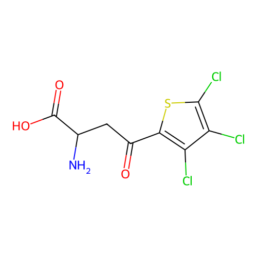 2-amino-4-oxo-4-(3,4,5-trichlorothiophen-2-yl)butanoic Acid structure