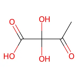 2,2-二羟基-3-氧代丁酸 structure