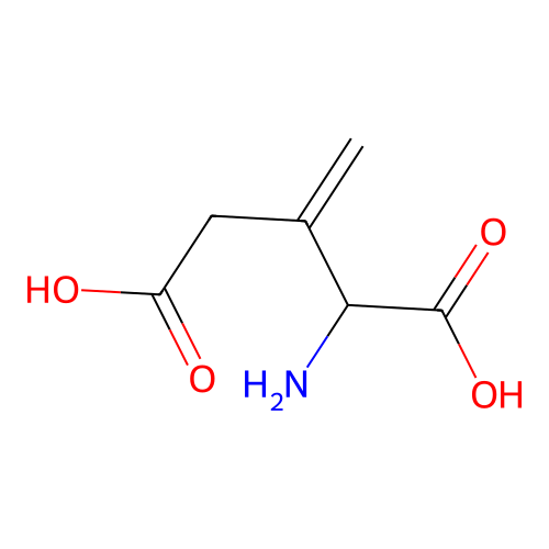 2-Amino-3-methylidenepentanedioic acid structure