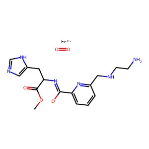 Amphis-Fe structure