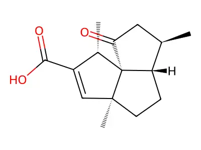Subergorgic acid structure