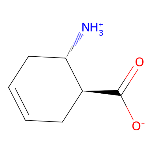 trans-2-Aminocyclohex-4-enecarboxylic acid structure