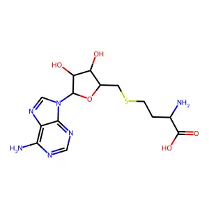 S-腺苷-L-高半胱氨酸 structure