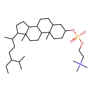 Stigmastanyl-phosphorylcholine structure