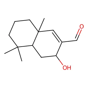Isopolygonal structure