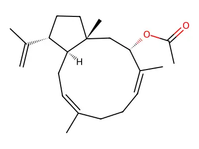 CTK3I8130 structure