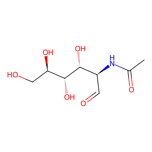 Acetylglucosamine structure