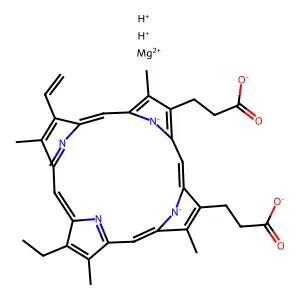 Mg MV-Protoporphyrin structure