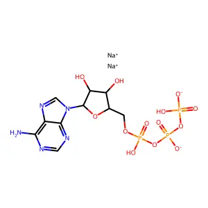 Adenosine Triphosphate Disodium structure