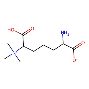 1-Pentanaminium, 5-amino-1,5-dicarboxy-N,N,N-trimethyl-, inner salt structure