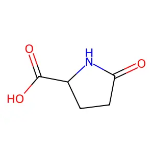 L-焦谷氨酸 structure