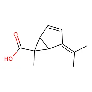 Bicyclo(3.1.0)hex-2-ene-6-carboxylic acid, 6-methyl-4-(1-methylethylidene)-, (1alpha,5alpha,6alpha)- structure