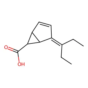 Bicyclo(3.1.0)hex-2-ene-6-carboxylic acid, 4-(1-ethylpropylidene)-, (1alpha,5alpha,6alpha)- structure