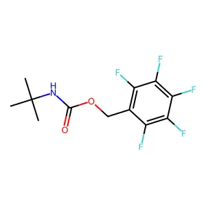 (2,3,4,5,6-pentafluorophenyl)methyl N-tert-butylcarbamate structure