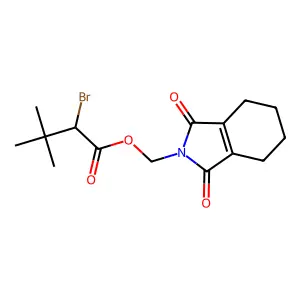 (1,3-Dioxo-4,5,6,7-tetrahydroisoindol-2-yl)methyl 2-bromo-3,3-dimethylbutanoate structure