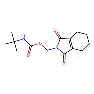 (1,3-dioxo-4,5,6,7-tetrahydroisoindol-2-yl)methyl N-tert-butylcarbamate structure