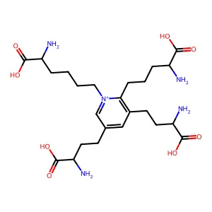 Isodesmosine structure