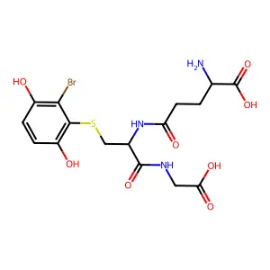 2-Bromo-3-(glutathion-S-yl)hydroquinone structure