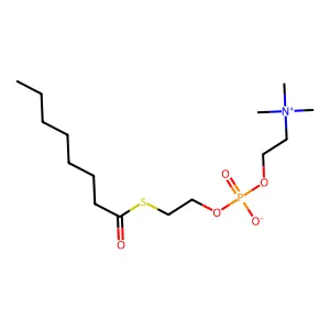 pyrenedodecanoyl-coenzyme A structure