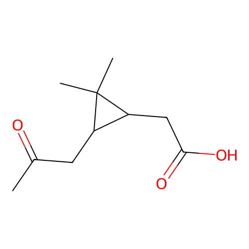 2-(2,2-Dimethyl-3-(2-oxopropyl)cyclopropyl)acetic Acid structure