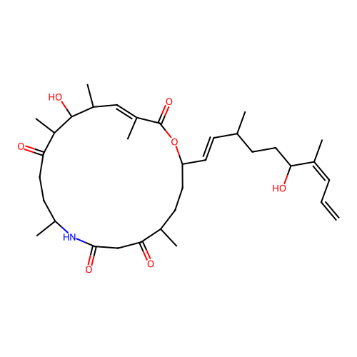 Angiolam A structure
