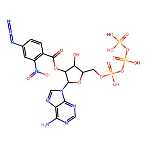 3'(2')-O-(2-Nitro-4-azidobenzoyl)adenosine 5'-triphosphate structure