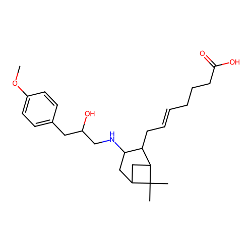Pta-OM structure