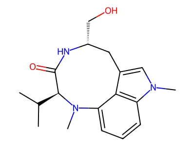 J2.539.339B structure