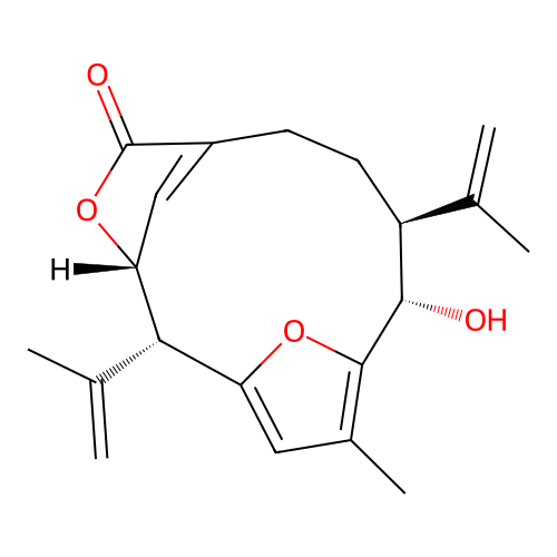 Kallolide A structure