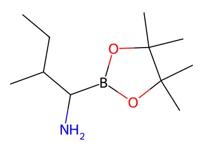 Boroleucine structure