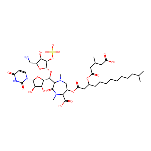 Liposidomycin B structure