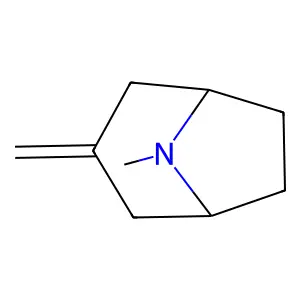 8-Methyl-3-methylene-8-azabicyclo[3.2.1]octane structure